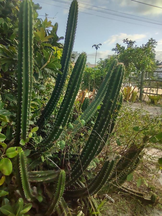 Pousada Quintal Dos Sonhos Xando Caraíva Zewnętrze zdjęcie